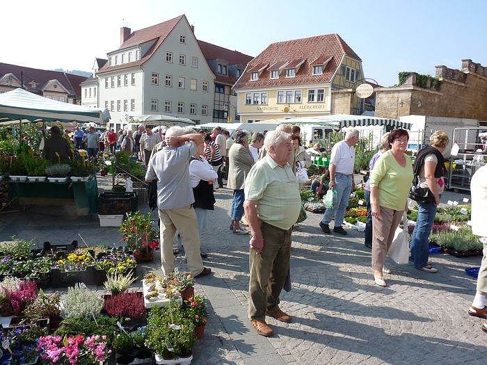 Planzenmarkt in Sondershausen