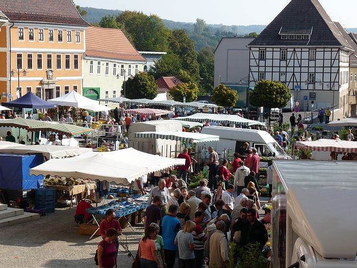 Planzenmarkt in Sondershausen