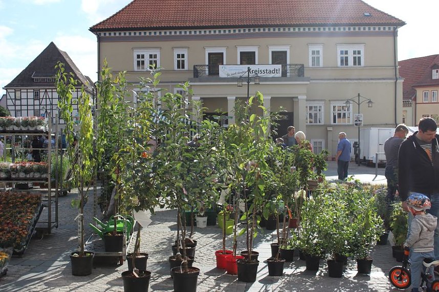Pflanzenmarkt in Sondershausen
