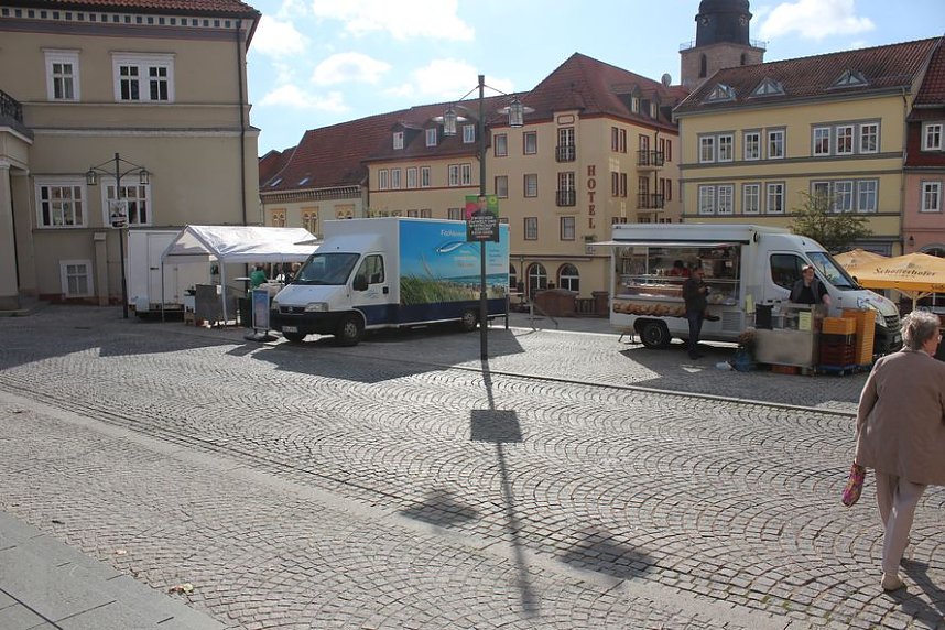 Pflanzenmarkt in Sondershausen