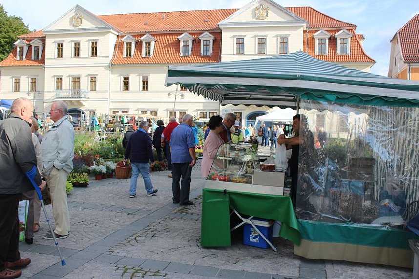 Pflanzenmarkt in Sondershausen