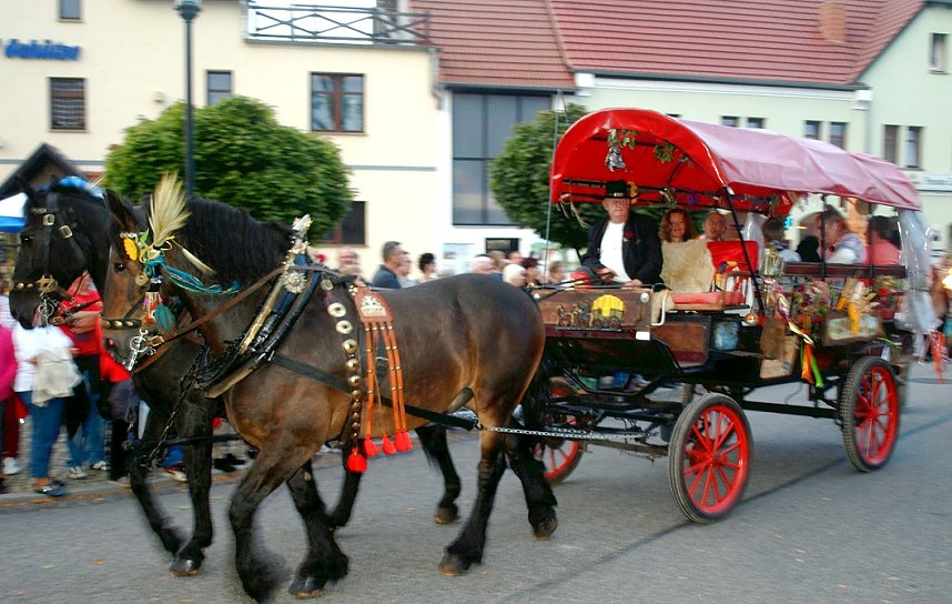 Das sollten Sie wissen - Frankenhisser Bauernmarkt 2017