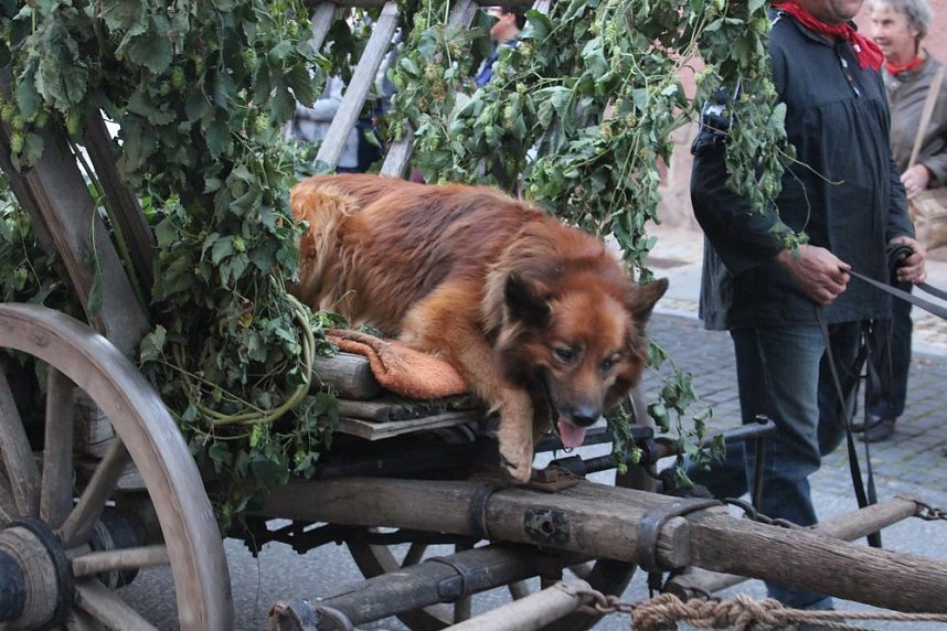 Das komplette Bauernheer