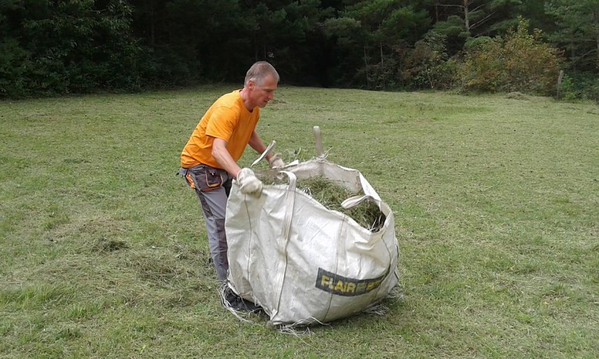 F&uuml;r Bienen-Ragwurz und Spargelerbse