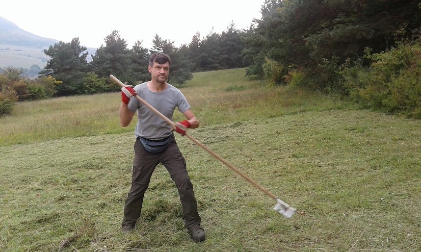 F&uuml;r Bienen-Ragwurz und Spargelerbse