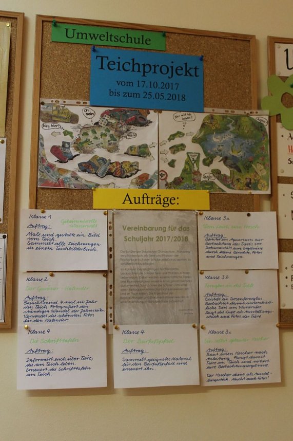 Teichprojekt an der Franzbergschule