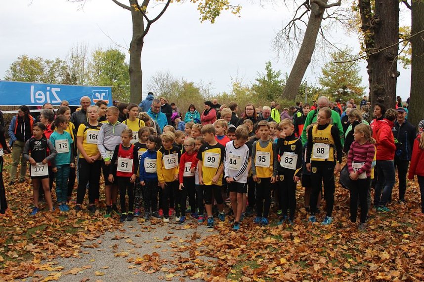 24. Stadtparklauf in Sondershausen (1)