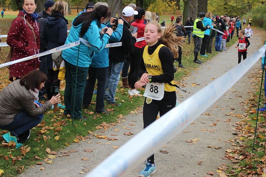 24. Stadtparklauf in Sondershausen (1)