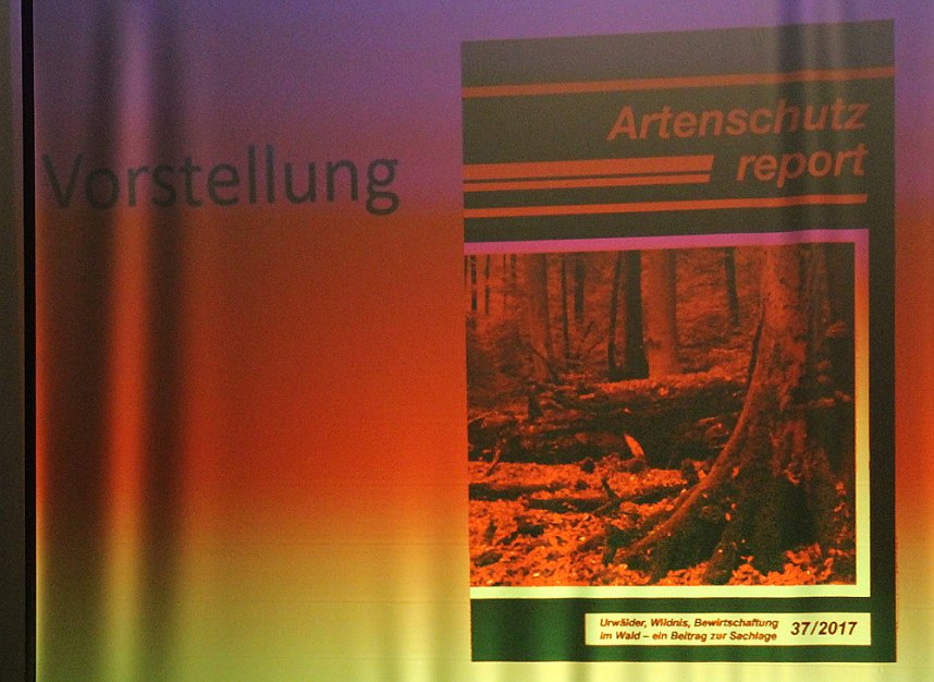 Artenschutzreport, Buchenw&auml;lder und mehr