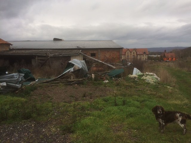 Illegale M&uuml;llablagerung