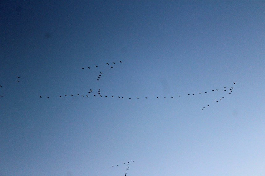 Gro&szlig;es Geschrei &uuml;ber Sondershausen