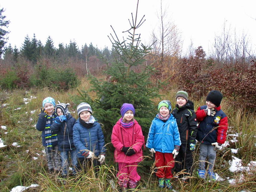 Ein Tannenbaum f&uuml;r unsere Kindervilla