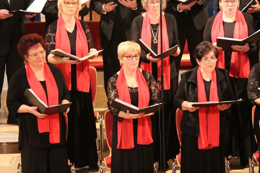 Weihnachtswunsch: Friede und Menschlichkeit