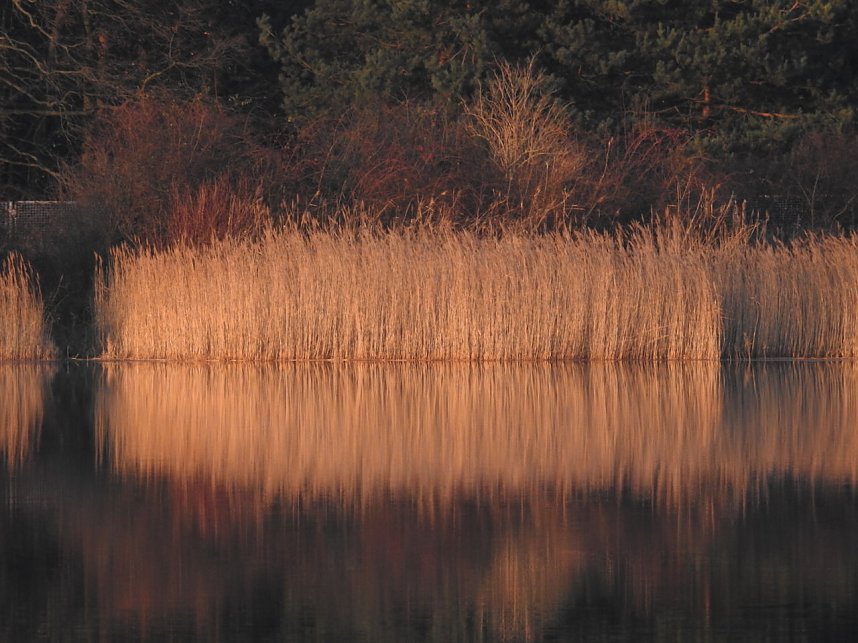 Mal ganz entspannt...