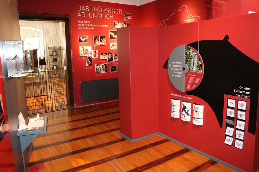 Zum Jahreswechsel ins Regionalmuseum