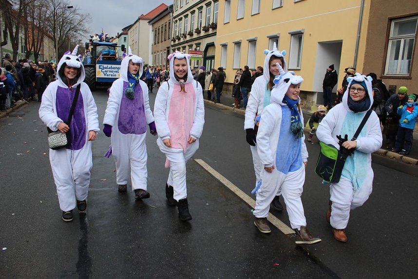 Rosenmontagsumzug in Sondershausen (1)