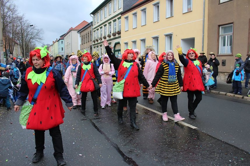Rosenmontagsumzug in Sondershausen (1)