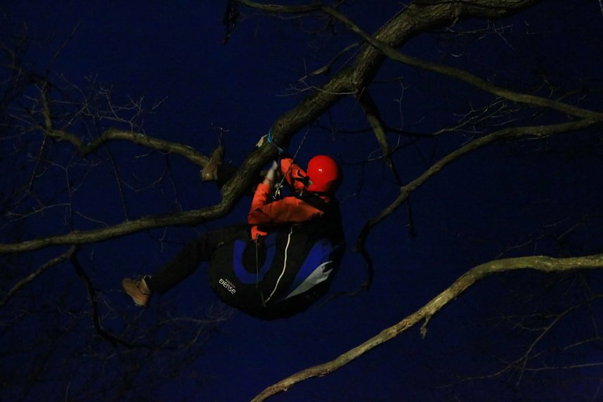 Gleitschirmflieger auf Baum