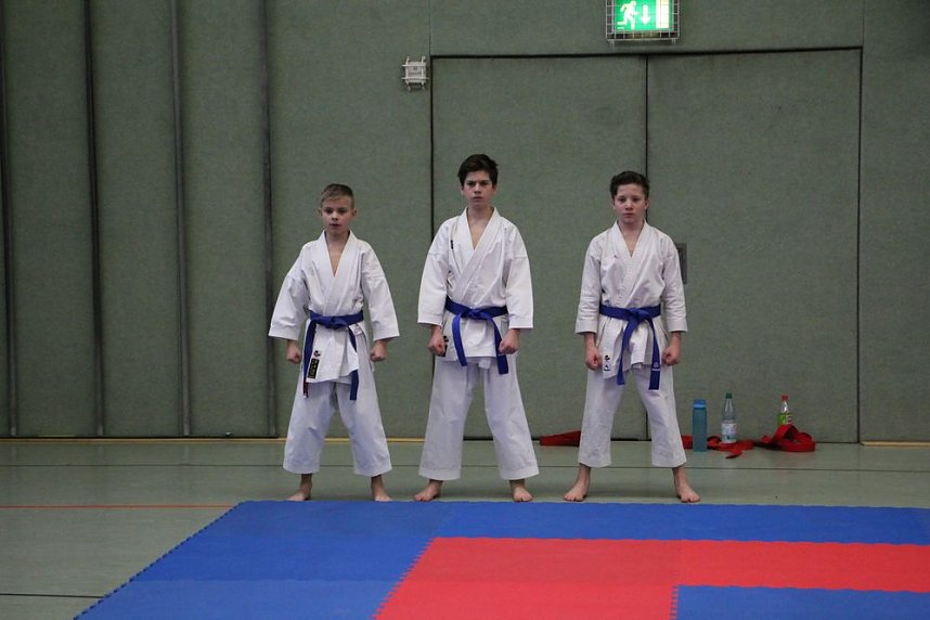 Titel und Medaillen beim Karate