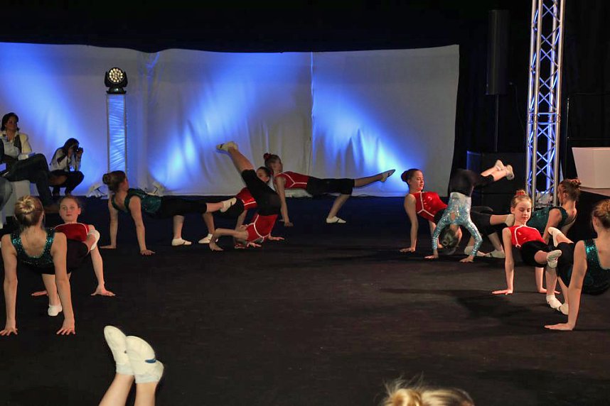 Schauprogramm, Ehrenamtspreise und mehr bei Sportgala