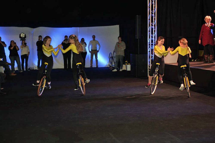 Schauprogramm, Ehrenamtspreise und mehr bei Sportgala