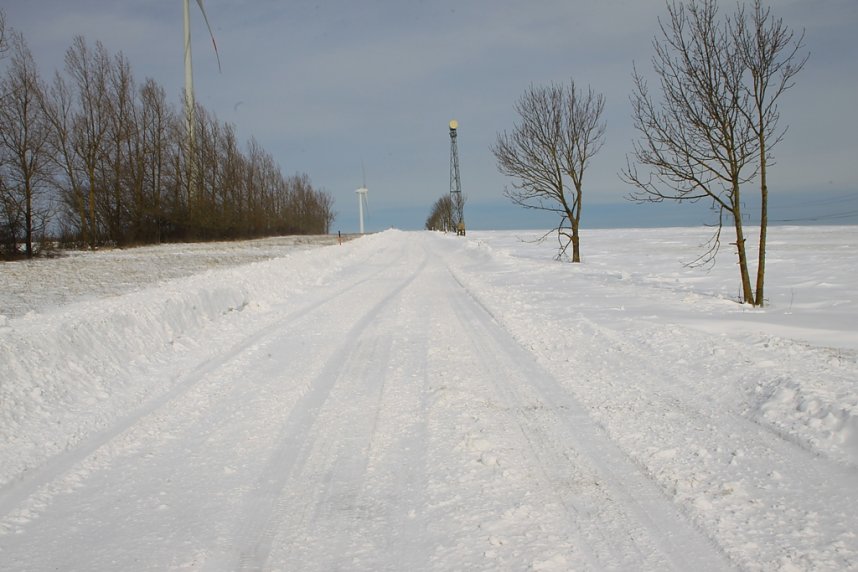 Und j&auml;hrlich gr&uuml;&szlig;t das Murmeltier!
