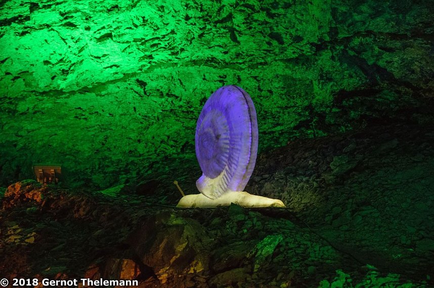 In einem ganz besonderen Licht