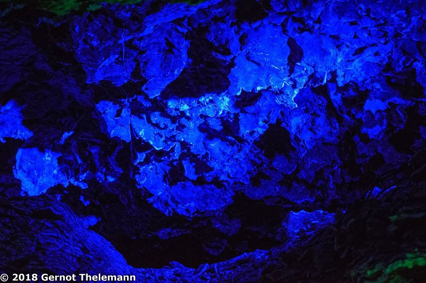 In einem ganz besonderen Licht