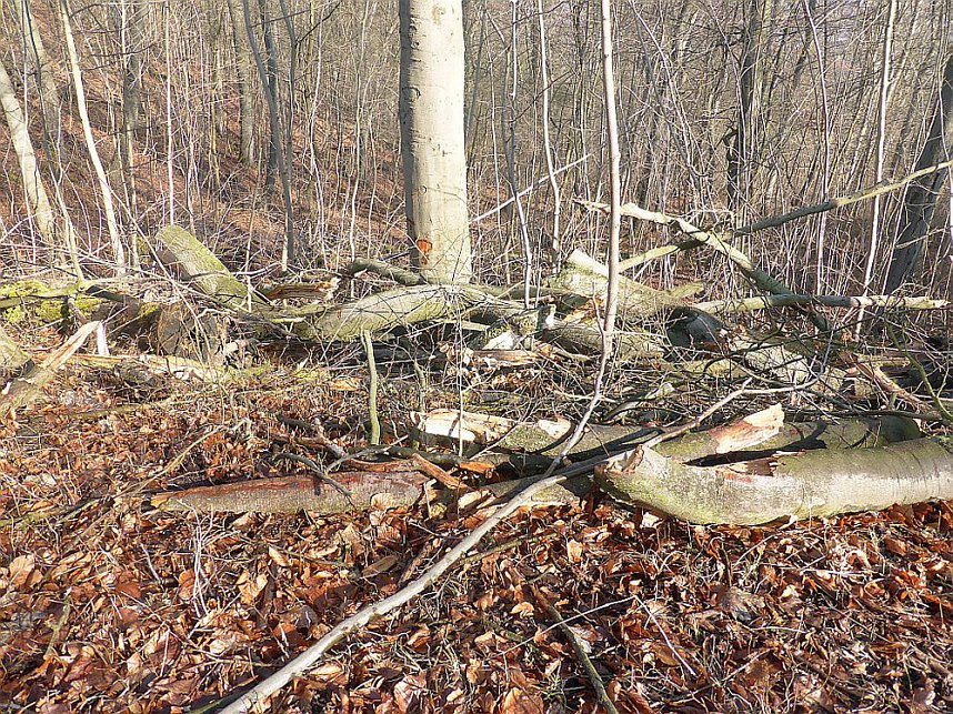 Osterspaziergang zum Spatenbergturm