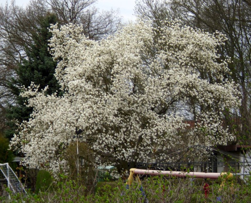 Natur erbl&uuml;ht in bunten Farben