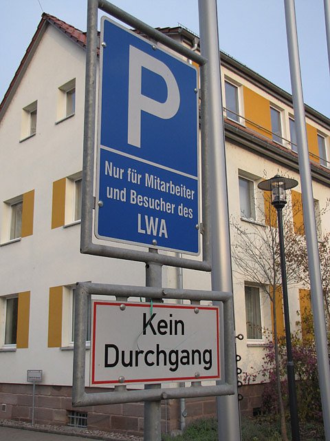 Baumf&auml;llung in Bad Frankenhausen