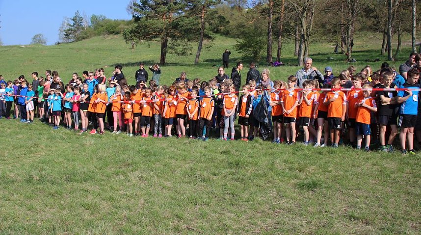 Tolles Kreisfinale beim Crosslauf