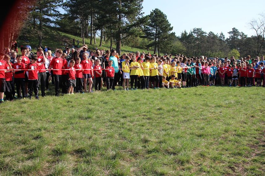 Tolles Kreisfinale beim Crosslauf
