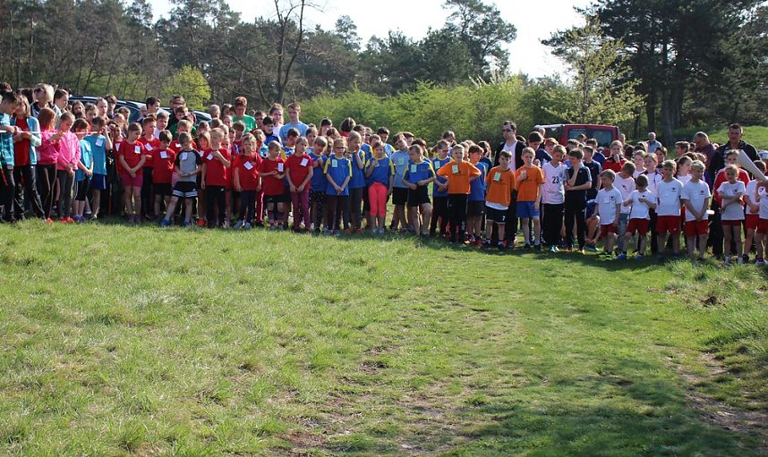 Tolles Kreisfinale beim Crosslauf