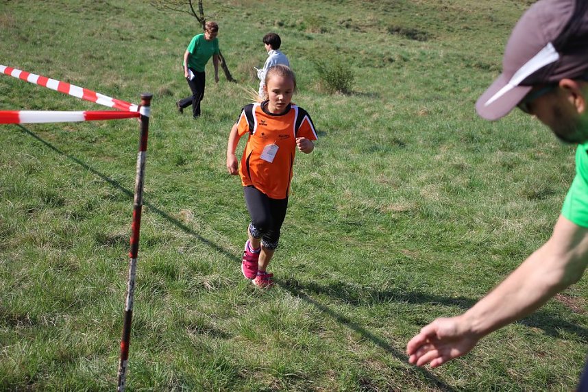 Tolles Kreisfinale beim Crosslauf