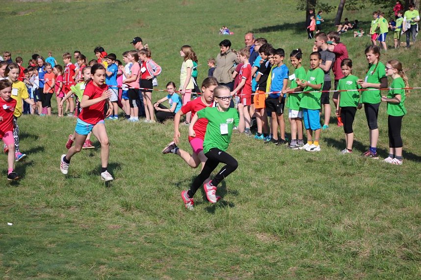 Tolles Kreisfinale beim Crosslauf