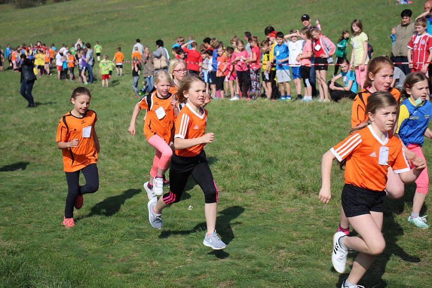 Tolles Kreisfinale beim Crosslauf