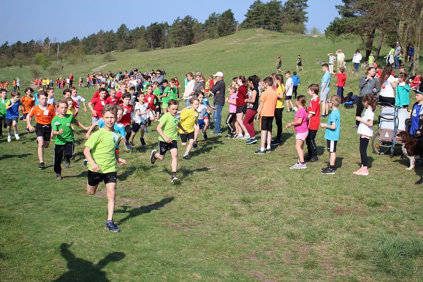 Tolles Kreisfinale beim Crosslauf