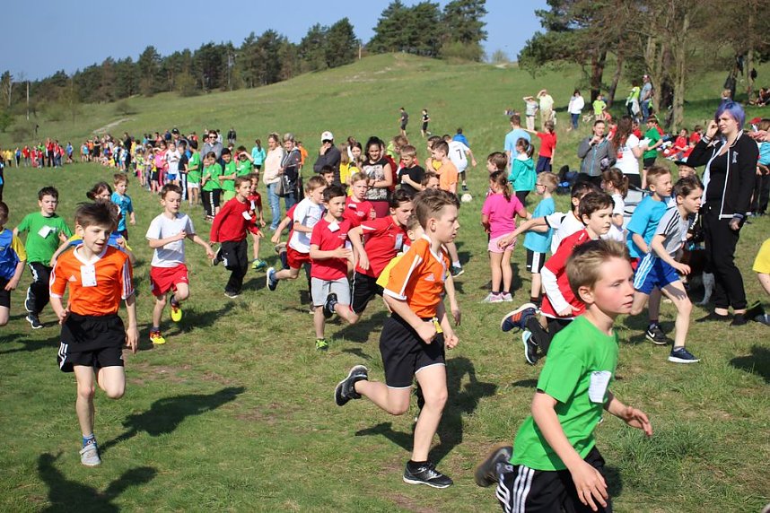 Tolles Kreisfinale beim Crosslauf