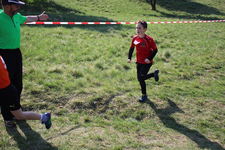 Tolles Kreisfinale beim Crosslauf