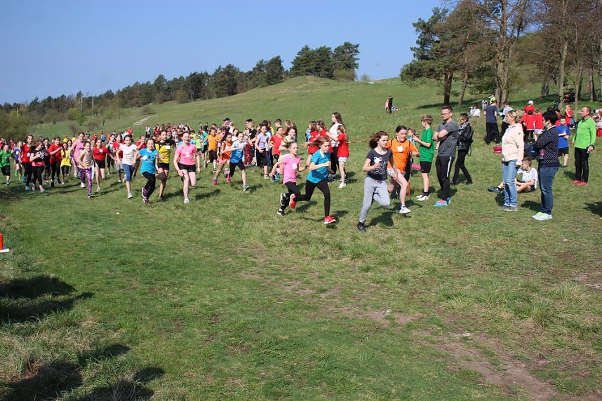 Tolles Kreisfinale beim Crosslauf