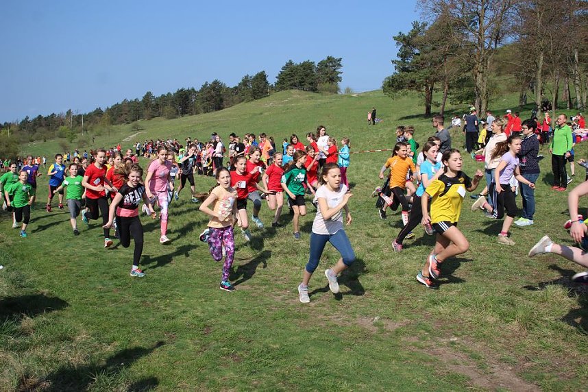 Tolles Kreisfinale beim Crosslauf