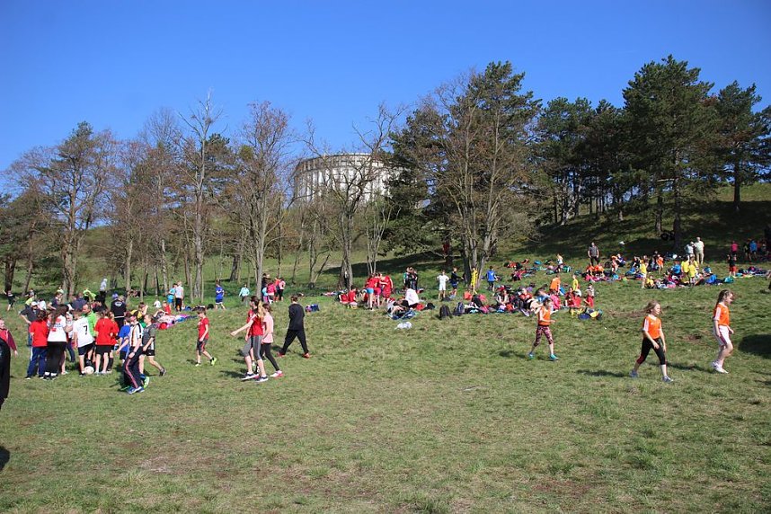 Tolles Kreisfinale beim Crosslauf