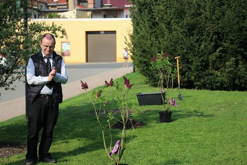 Gro&szlig;e Fliederbaumplanzaktion in Bad Frankenhausen