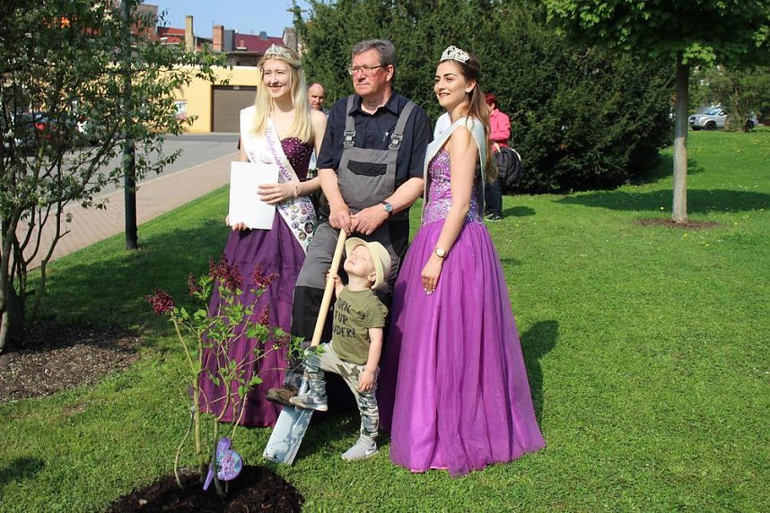 Gro&szlig;e Fliederbaumplanzaktion in Bad Frankenhausen
