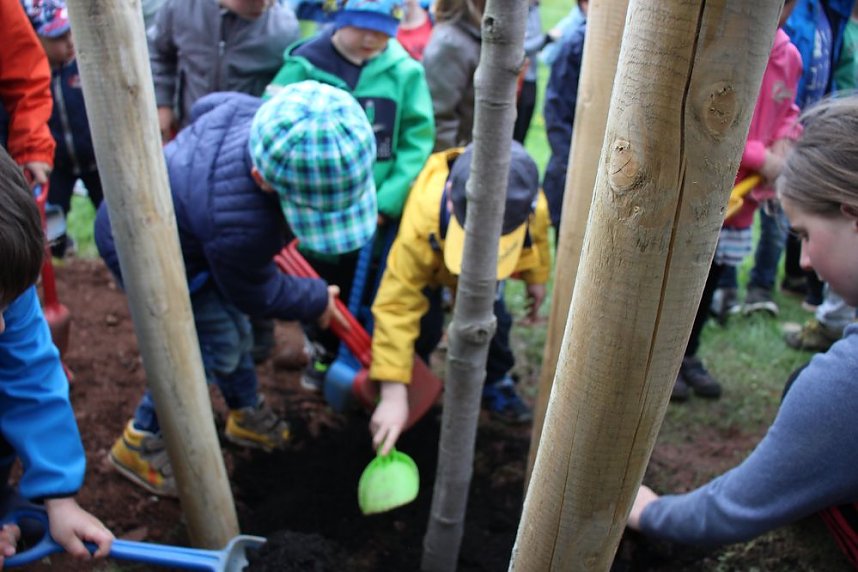 Wieder Wettergl&uuml;ck beim Baumfest