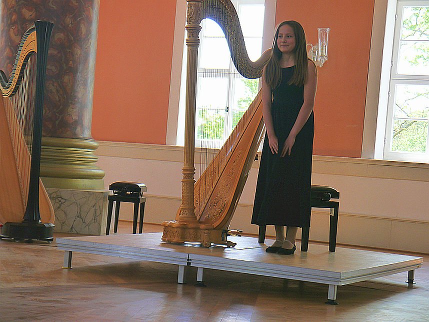 Harfenisten im Konzert