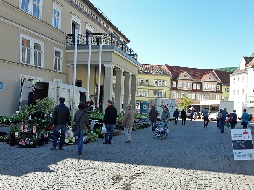 Eine F&uuml;lle an Pflanzen