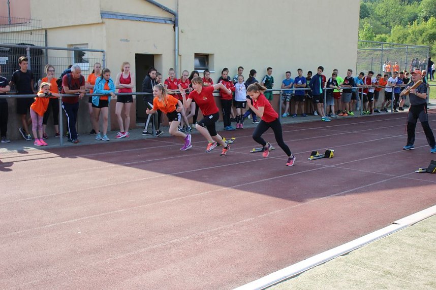 Die Leichtathleten begeisterten heute