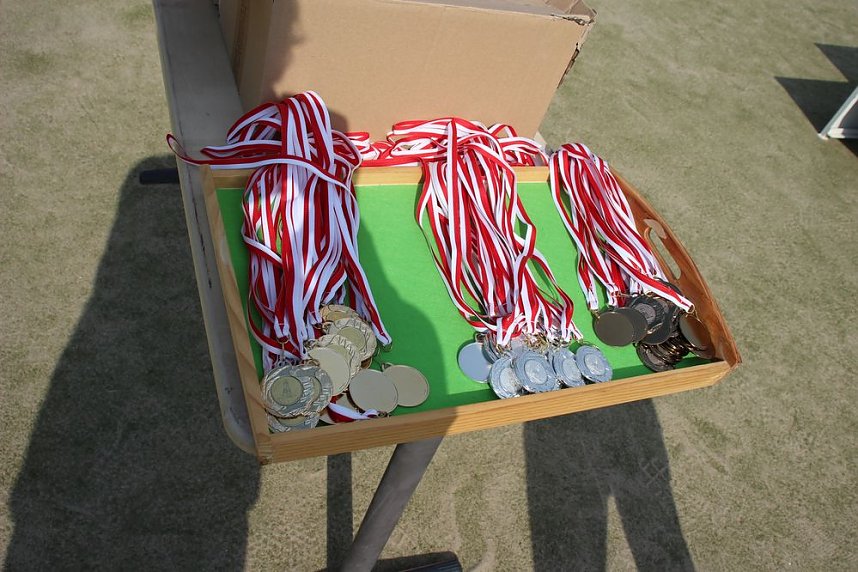 Die Leichtathleten begeisterten heute